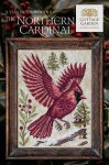 Year In The Woods II 7 - Northern Cardinal (image for) Year In The Woods II 7 - Northern Cardinal
